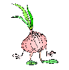 onion
