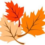 September 2016 Bridging the Gap leaves